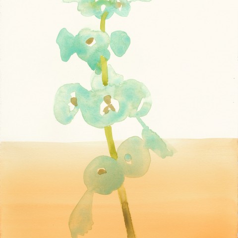 Stacey Vetter - <b>Bells of Ireland with Orange</b>, watercolor on paper, 10 x 8 inches