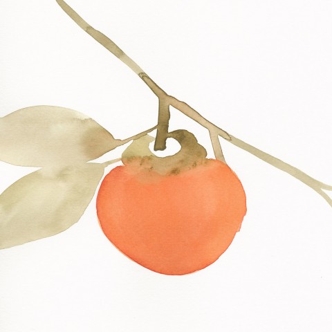 Stacey Vetter - <b>Persimmon</b>, watercolor on paper, 10 x 8 inches