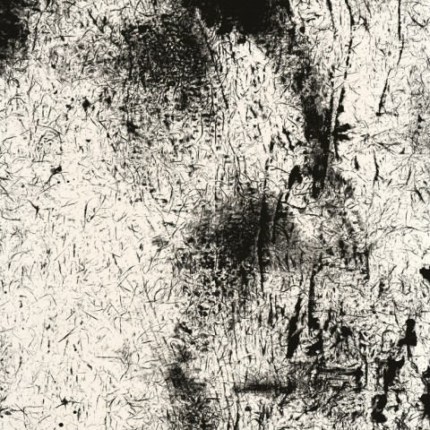 Koo Kyung Sook - <b>Markings 7-3</b>, 2007, digital print on mulberry paperl, 76 x 38 inches